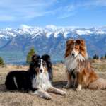 Ersteller:in Birgit Profilbild