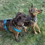 Ersteller:in The Profilbild