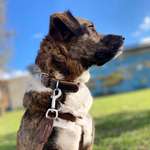 Ersteller:in Christina Profilbild