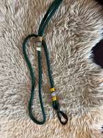 Wunderschönes Alpenpfote „Trachtenbandl-Set“-Beitrag-Bild