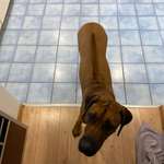 Ersteller:in Benjamin Profilbild