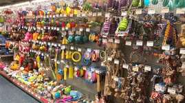 Gefährliche Spielzeuge-Beitrag-Bild