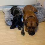 Ersteller:in Olivia Profilbild