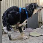 Ersteller:in Julia Profilbild