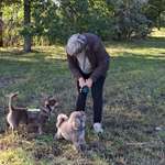 Ersteller:in Signe Profilbild