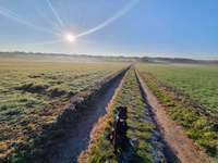 Hundeauslaufgebiet-Rund um den Stalleikenweg-Bild