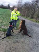 Hundeauslaufgebiet-Rund um den Stalleikenweg-Bild