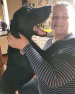 Hundeauslaufgebiet-Rund um den Stalleikenweg-Bild