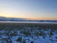 Hundeauslaufgebiet-Rund um den Stalleikenweg-Bild