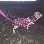 Suchmeldung-Ria-Bild