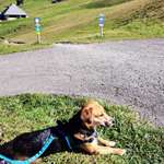 Suchmeldung-Ria-Bild