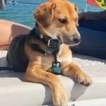 Suchmeldung-Ria-Bild