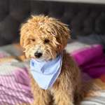 Ersteller:in Maren Profilbild