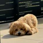 Ersteller:in Maren Profilbild