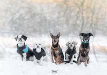 Welches Geschlecht ist euch lieber ?-Beitrag-Bild