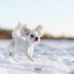 Schlechtes Gewissen-Beitrag-Bild