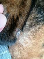 Was ist das?-Beitrag-Bild