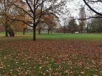 Hundeauslaufgebiet-Freilaufwiese Duisburg Meiderich Hagenshof-Bild