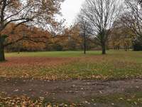 Hundeauslaufgebiet-Freilaufwiese Duisburg Meiderich Hagenshof-Bild