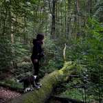 Ersteller:in lizzy Profilbild