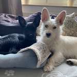 Ersteller:in Jule Profilbild