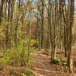 Ersteller:in Su Profilbild