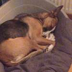 Ersteller:in Timo Profilbild