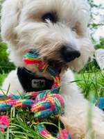 Ausraster im Café-Beitrag-Bild