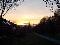 Hundeauslaufgebiet-Karl-Nasemannweg-Bild