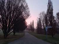 Hundeauslaufgebiet-Karl-Nasemannweg-Bild