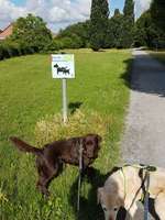 Hundeauslaufgebiet-Karl-Nasemannweg-Bild