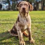 Ersteller:in Anne Profilbild