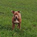 Ersteller:in Nico Profilbild