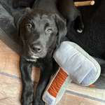 Ersteller:in Lara Profilbild