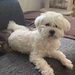 Ersteller:in Silke Profilbild