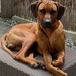 Ersteller:in Denise Profilbild