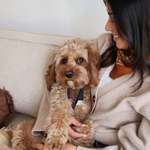 Ersteller:in Gabriela Profilbild