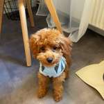 Ersteller:in Ella Profilbild