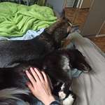 Ersteller:in N Profilbild