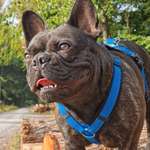 Ersteller:in Janine Profilbild