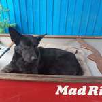 Ersteller:in Marita Profilbild