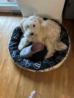 142. Foto Challenge-Die Diebe unter uns-Beitrag-Bild