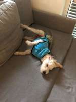 Foto Challenge - Zeigt her eure Bäuche-Beitrag-Bild