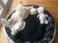 Foto Challenge - Zeigt her eure Bäuche-Beitrag-Bild