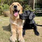 Ersteller:in Thomas Profilbild