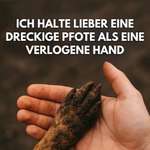 Ersteller:in Stefanie Profilbild