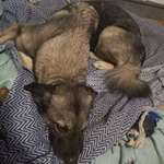 Ersteller:in Luna Profilbild