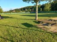 Hundeauslaufgebiet-Hundewiese Gleisdorf-Bild