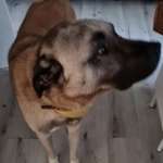 Ersteller:in Natalie Profilbild