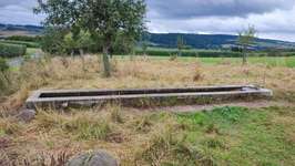 Hundeauslaufgebiet-Wassertrog-Bild